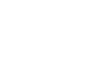 Steve madden.png